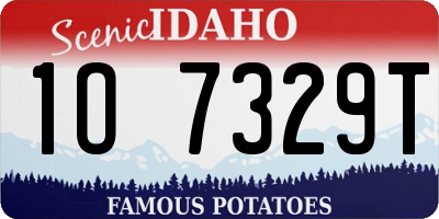 ID license plate 1O7329T