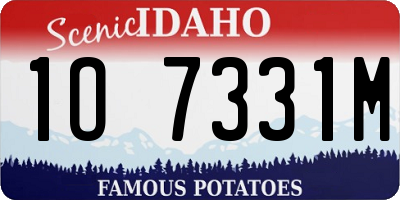 ID license plate 1O7331M