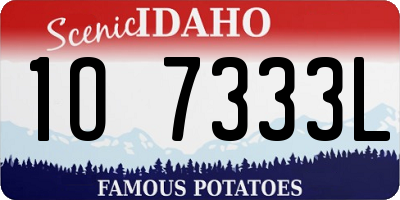 ID license plate 1O7333L
