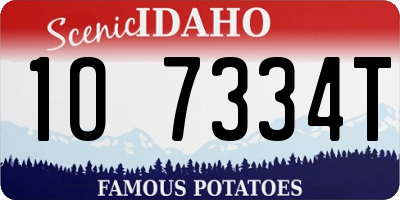 ID license plate 1O7334T