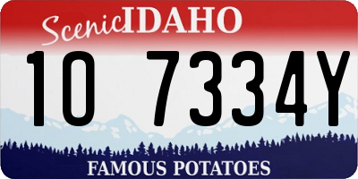 ID license plate 1O7334Y