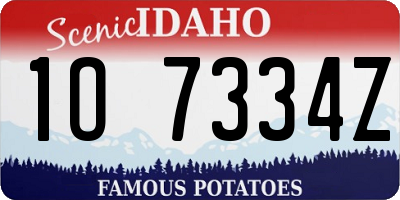 ID license plate 1O7334Z