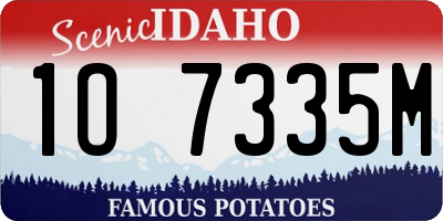 ID license plate 1O7335M