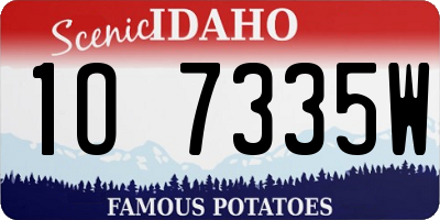 ID license plate 1O7335W