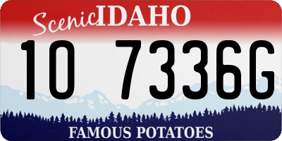 ID license plate 1O7336G