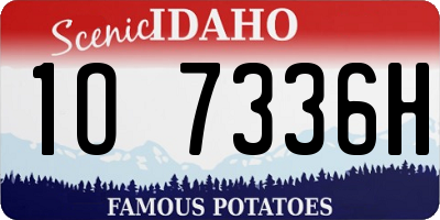 ID license plate 1O7336H