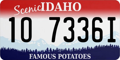 ID license plate 1O7336I