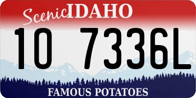 ID license plate 1O7336L