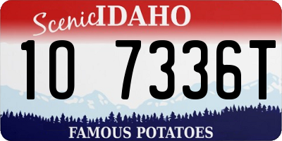 ID license plate 1O7336T