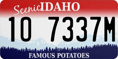 ID license plate 1O7337M
