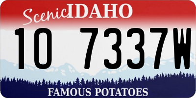 ID license plate 1O7337W