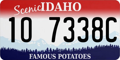 ID license plate 1O7338C