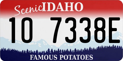 ID license plate 1O7338E
