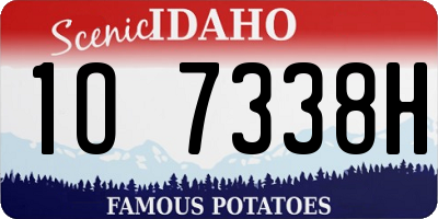 ID license plate 1O7338H