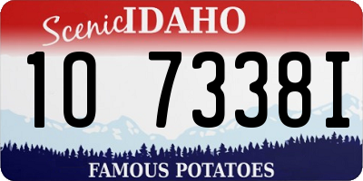ID license plate 1O7338I