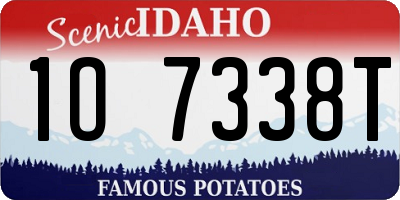 ID license plate 1O7338T