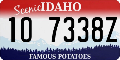 ID license plate 1O7338Z