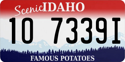 ID license plate 1O7339I