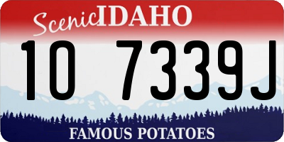 ID license plate 1O7339J
