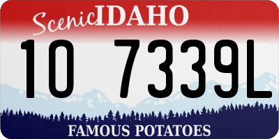 ID license plate 1O7339L