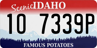 ID license plate 1O7339P