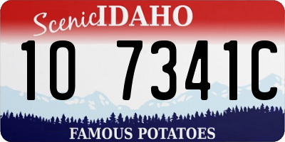 ID license plate 1O7341C