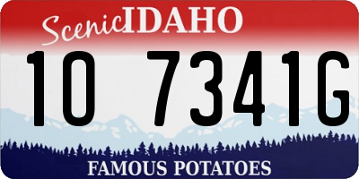 ID license plate 1O7341G
