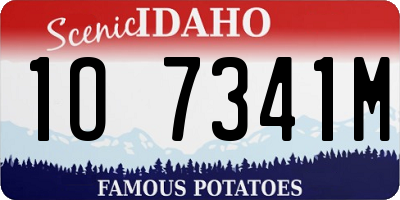 ID license plate 1O7341M