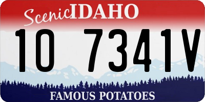 ID license plate 1O7341V