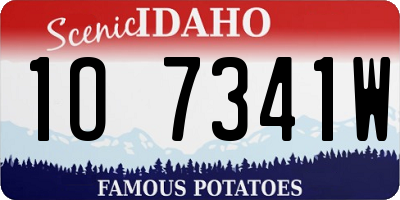 ID license plate 1O7341W