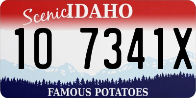 ID license plate 1O7341X