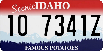 ID license plate 1O7341Z