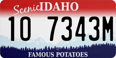 ID license plate 1O7343M