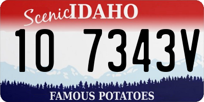 ID license plate 1O7343V