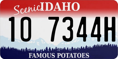 ID license plate 1O7344H