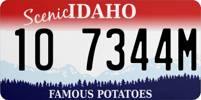 ID license plate 1O7344M