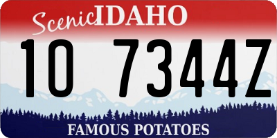 ID license plate 1O7344Z