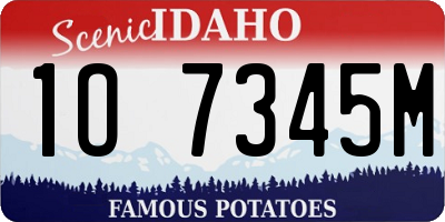 ID license plate 1O7345M