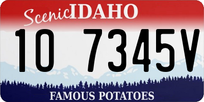 ID license plate 1O7345V