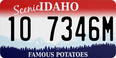 ID license plate 1O7346M