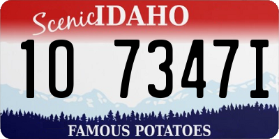 ID license plate 1O7347I