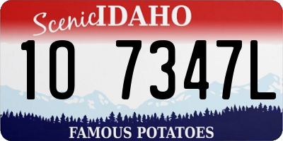 ID license plate 1O7347L