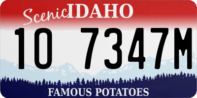 ID license plate 1O7347M