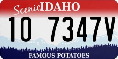 ID license plate 1O7347V