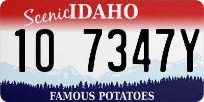 ID license plate 1O7347Y