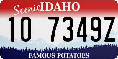 ID license plate 1O7349Z