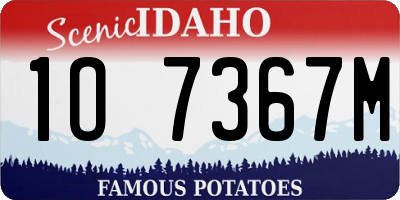 ID license plate 1O7367M