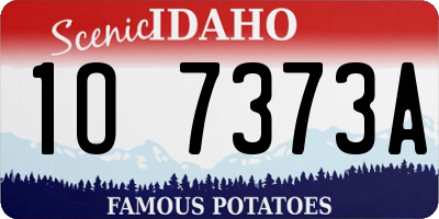 ID license plate 1O7373A