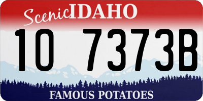 ID license plate 1O7373B