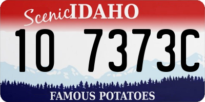 ID license plate 1O7373C